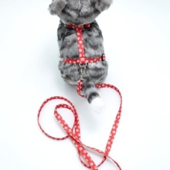 Kedi Patili Göğüs Tasması Ve Gezdirme Seti Ps9647