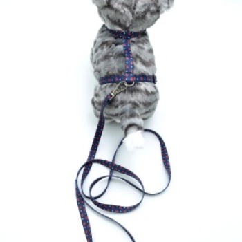 Kedi Patili Göğüs Tasması Ve Gezdirme Seti Ps9645