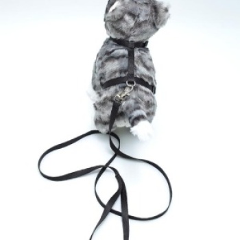 Kedi Düz Göğüs Tasması Ve Gezdirme Seti Ps9644