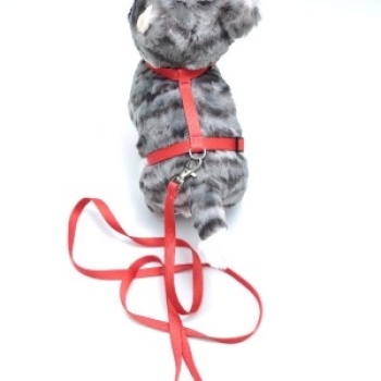 Kedi Düz Göğüs Tasması Ve Gezdirme Seti Ps9641