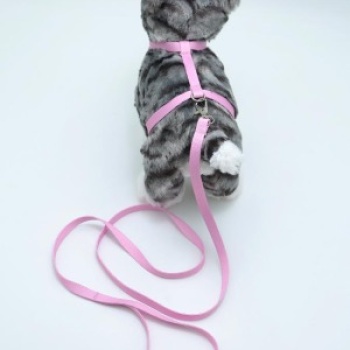 Kedi Düz Göğüs Tasması Ve Gezdirme Seti Ps9640