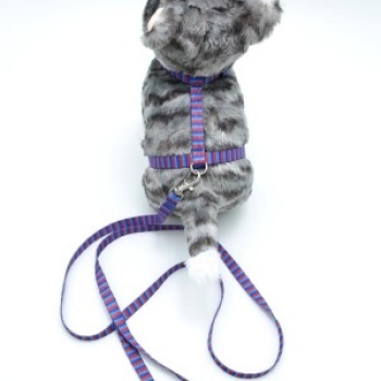 Kedi Çizgili Göğüs Tasması Ve Gezdirme Seti Ps9638