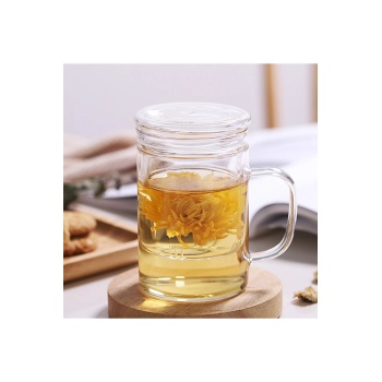 Borosilikat Cam Kupa 350 ml – Cam Kapaklı, Süzgeçli Demleme Kupa