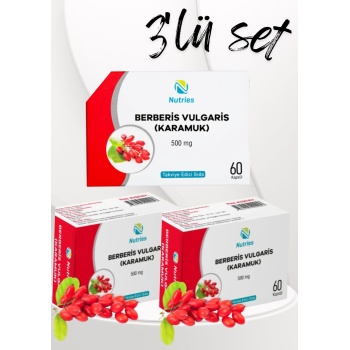 Berberis Vulgaris Takviye Edici Gıda 60’lı – 3’lü Ekonomik Set