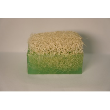 ALOEVERA SABUNU 160GR