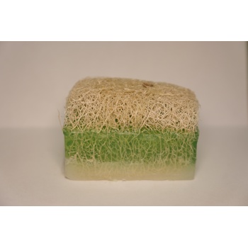 EŞEK SÜTLÜ ALOEVERA SABUNU 160GR