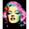 Kanvas Sayılarla Boyama Seti Kasnaklı-Çerçeveli Marilyn Monroe Renkli