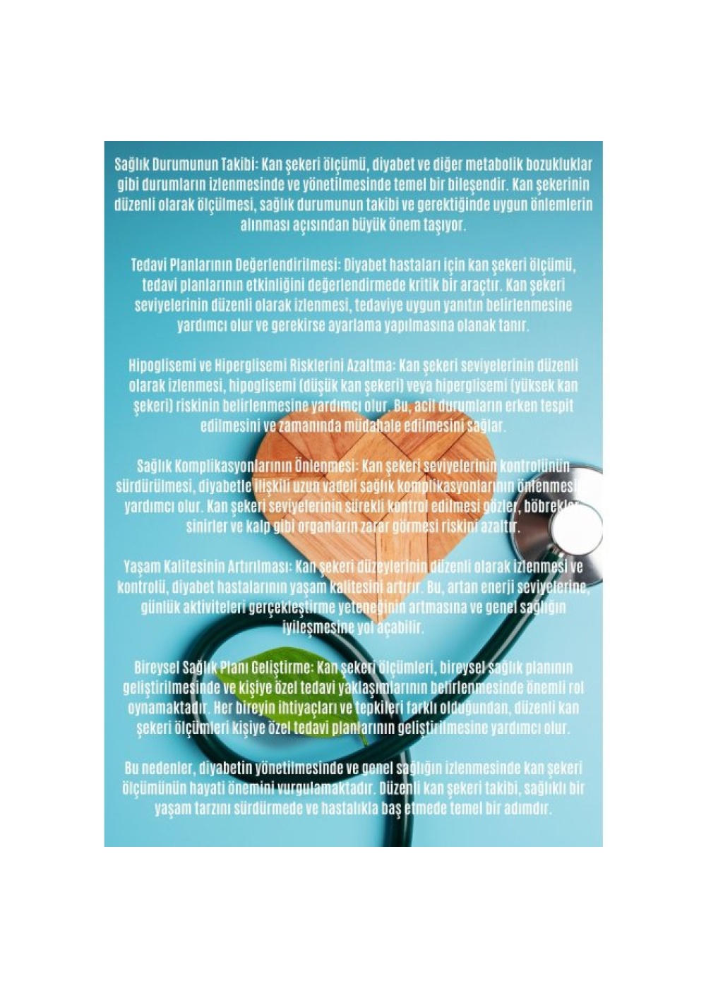 Diyabet Kan Şekeri Takip Çizelgesi Defteri A Kalite Özel Tasarım 12 Aylık 2026