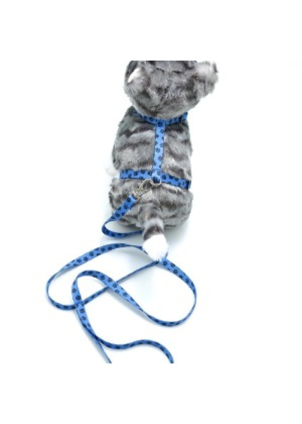 Kedi Patili Göğüs Tasması Ve Gezdirme Seti Ps9646