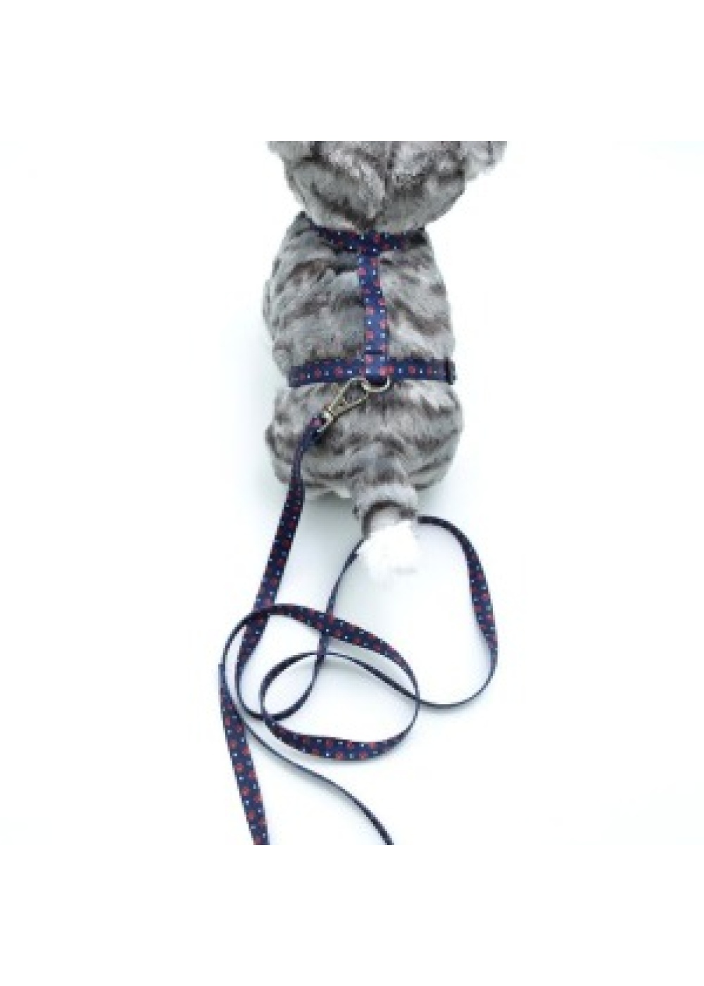 Kedi Patili Göğüs Tasması Ve Gezdirme Seti Ps9645