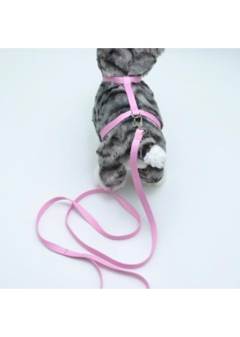 Kedi Düz Göğüs Tasması Ve Gezdirme Seti Ps9640