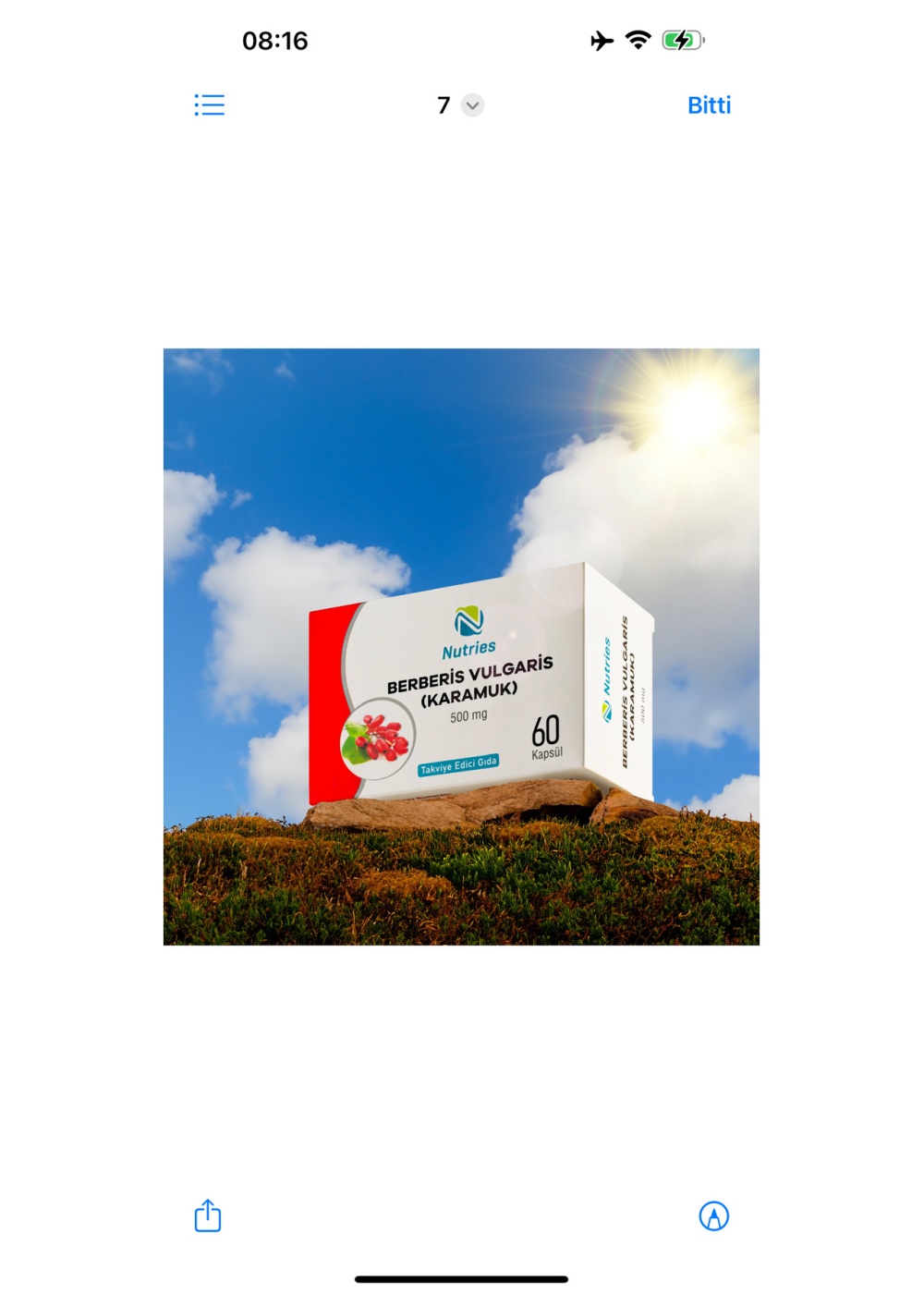 Berberis Vulgaris Takviye Edici Gıda 60’lı – 3’lü Ekonomik Set