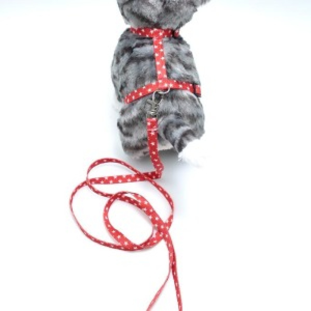 Kedi Yıldızlı Göğüs Tasması Ve Gezdirme Seti Ps9648