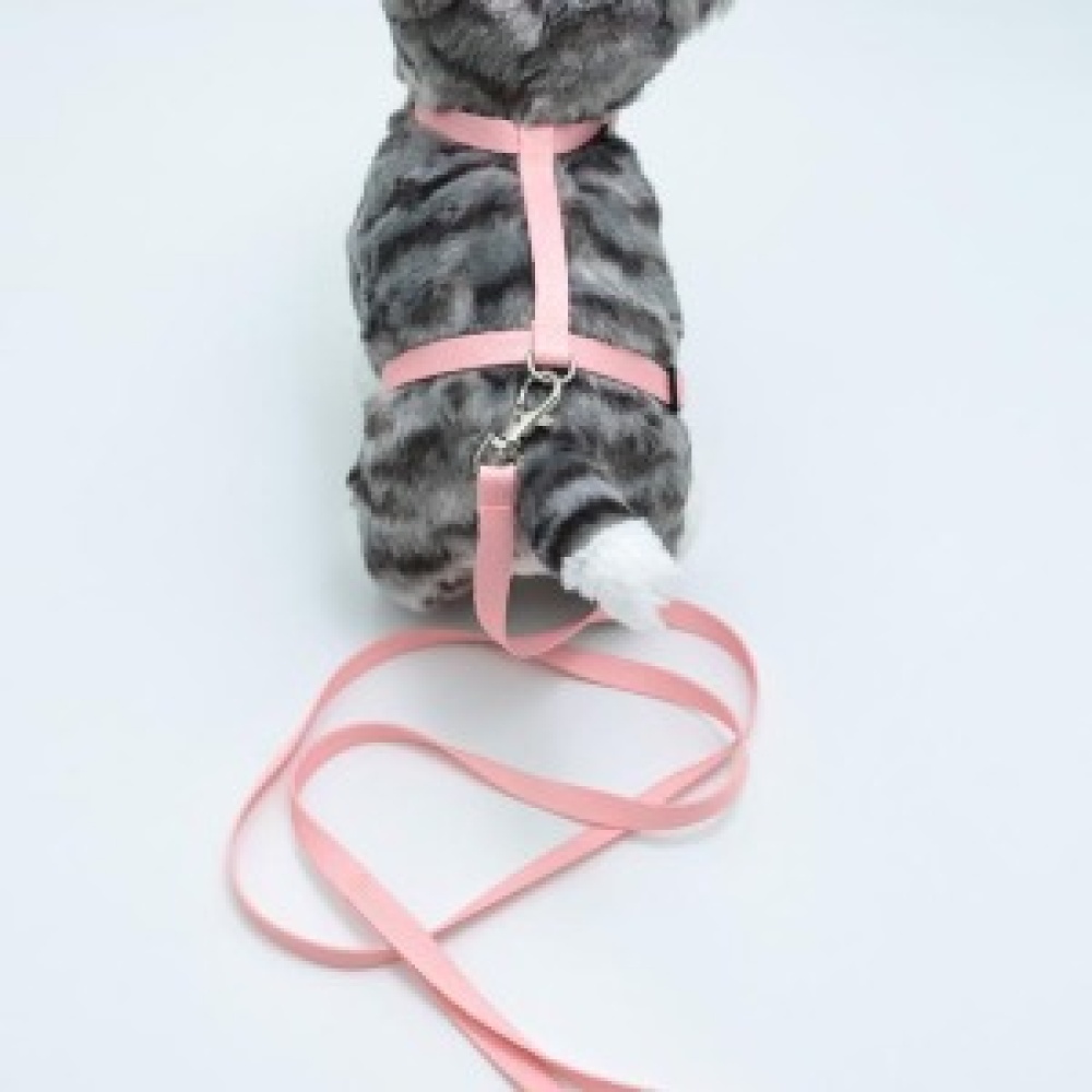 Kedi Düz Göğüs Tasması Ve Gezdirme Seti Ps9642