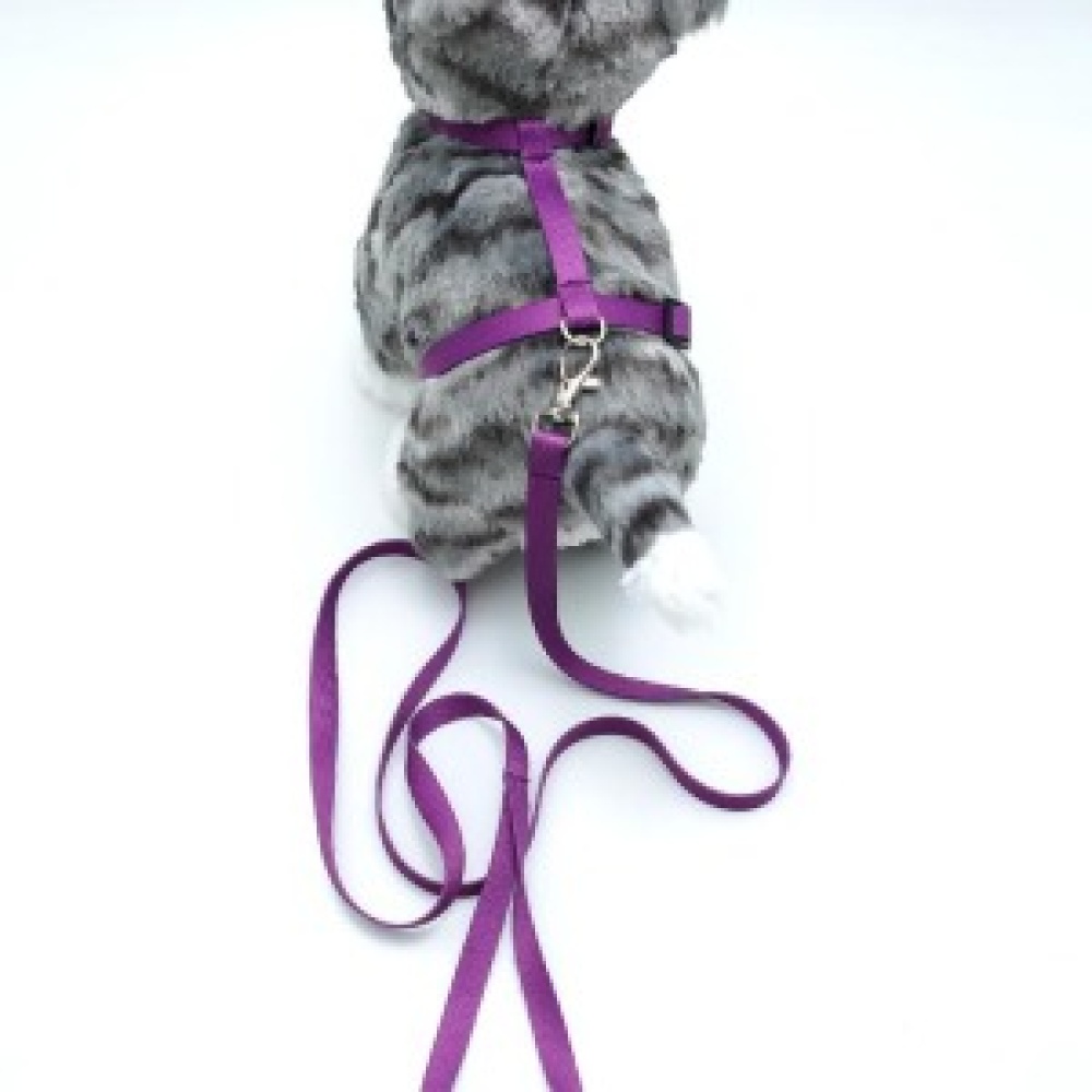 Kedi Düz Göğüs Tasması Ve Gezdirme Seti Ps9639