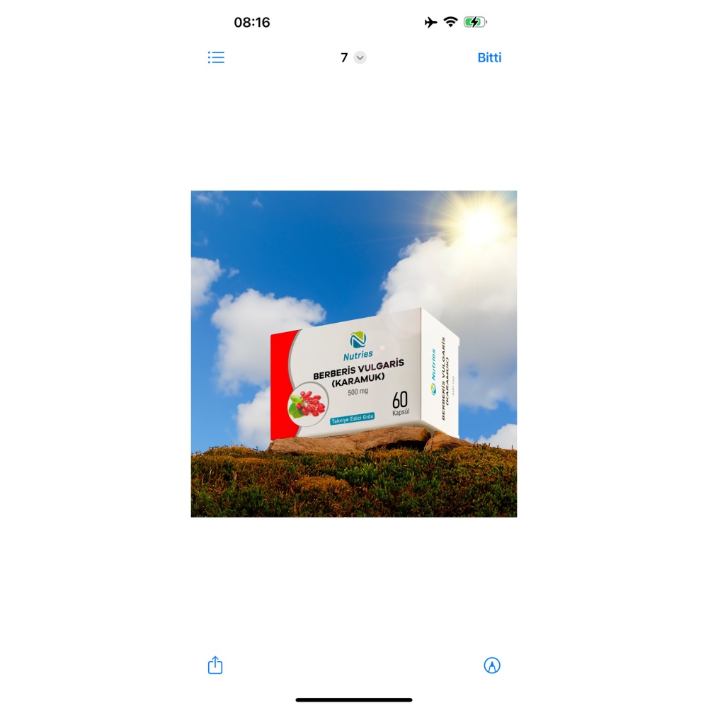 Berberis Vulgaris Takviye Edici Gıda 60’lı – 2’li Avantaj Paketi