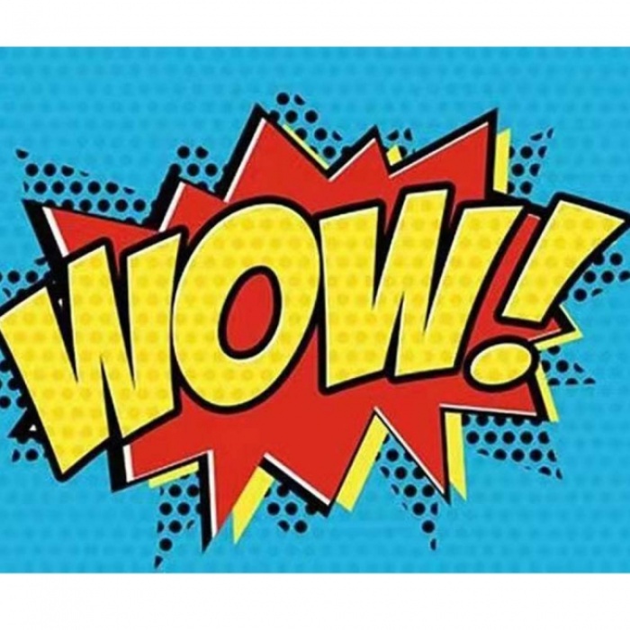 Kanvas Sayılarla Boyama Seti Kasnaklı-Çerçeveli Pop Art Wow