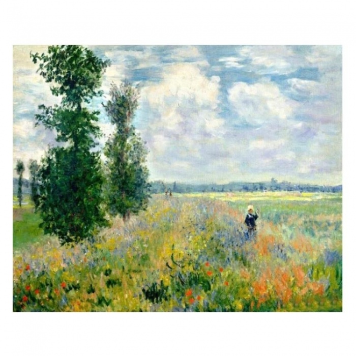 Kanvas Sayılarla Boyama Seti Kasnaklı-Çerçeveli Monet Hashas Bahçesi