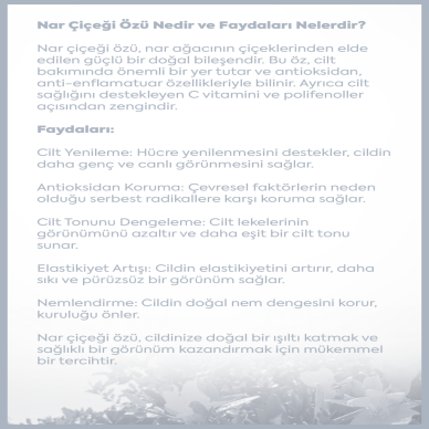 Kabak Lifli Nar Çiçeği Özlü