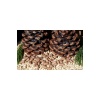 Çam Fıstığı (Künar) 100gr.