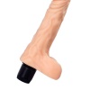 20 cm Multi-Speed Realistik Vibratör