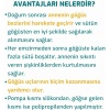 Bebedor Gogus Pompasi(Tirle) 665
