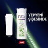 Clear Women Şampuan Bitkisel Sentez Aloe Vera Ve Çay Ağacı Yağı 350Ml