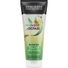 John Frieda Detox & Repair Şampuan 250 Ml
