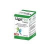 Lıgoflor 10 Kapsul
