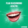 Listerine 250Ml Fresh Burst Ferah Nane