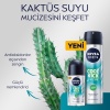 Nıvea Roll-On Bay Cool Kick Fresh 50Ml