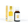 Panlife Sarı Kantaron Yağı 10 Ml