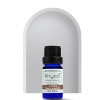 Phytoil Clove Bud Karanfil Uçucu Yağı 10 Ml