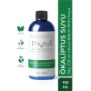 Phytoil Eau De Eucalyptus Okaliptus Suyu Saç Cilt Ve Vücut Bakım Bitki Suyu 150 Ml