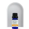 Phytoil Turmeric Zerdeçal Uçucu Yağı 10 Ml