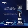Signal Diş Macunu White Now Lekesiz Beyazlık 75Ml