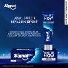 Signal Diş Macunu White Now Original 75Ml