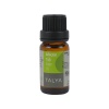 Talya Adacayı Yagı 10 Ml