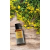 Talya Sarı Kantoron Yagı 50 Ml (Talya)