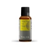 Talya Ylang Ylang Yagı 20 Ml