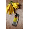 Talya Ylang Ylang Yagı 20 Ml