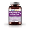 Wellcare Magnezyum B6 Vt 200/10Mg 30 Tb.