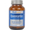Wellcare Quercetın 100 Mg 60 Kaps.