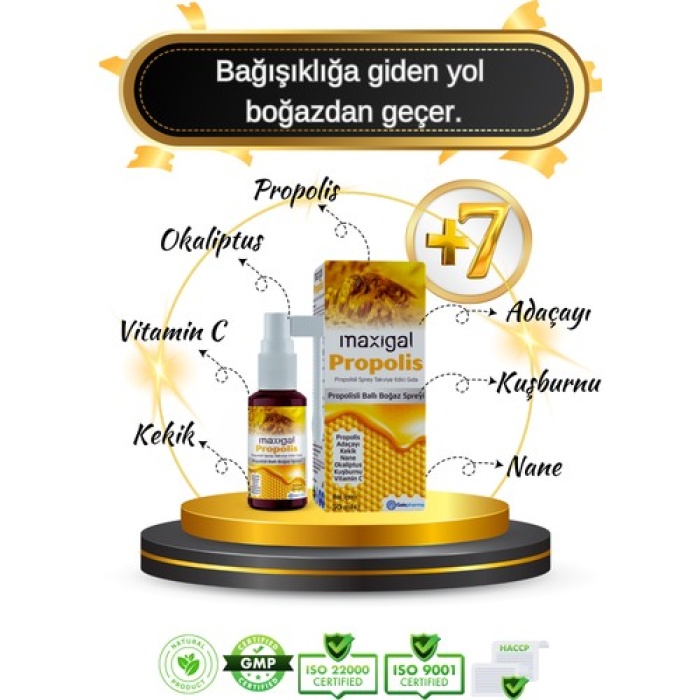 Maxıgal Propolıslı Bogaz Sprey