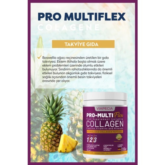 Vıapecıa Pro-Multıflex Collagen 300Gr