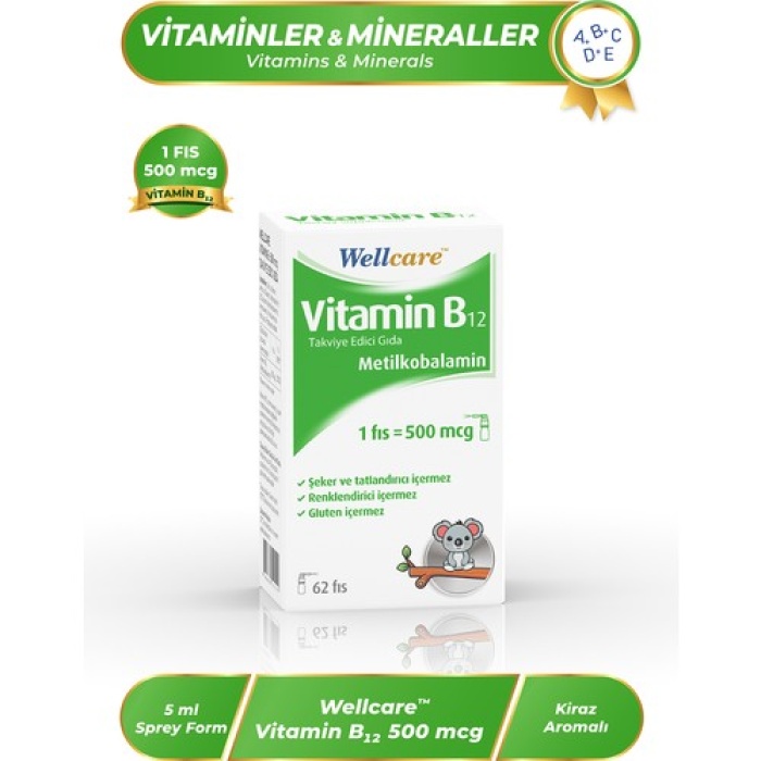 Wellcare Vıt B12 Sprey 500 Mcg 5 Ml