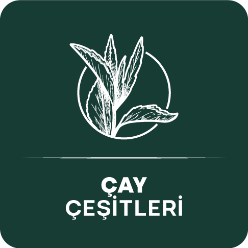 ÇAY ÇEŞİTLERİ