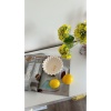 Dekoratif Pinterest Tabak