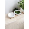 Çerez Tabağı 13x4 cm 2 Adet (Vernikli)