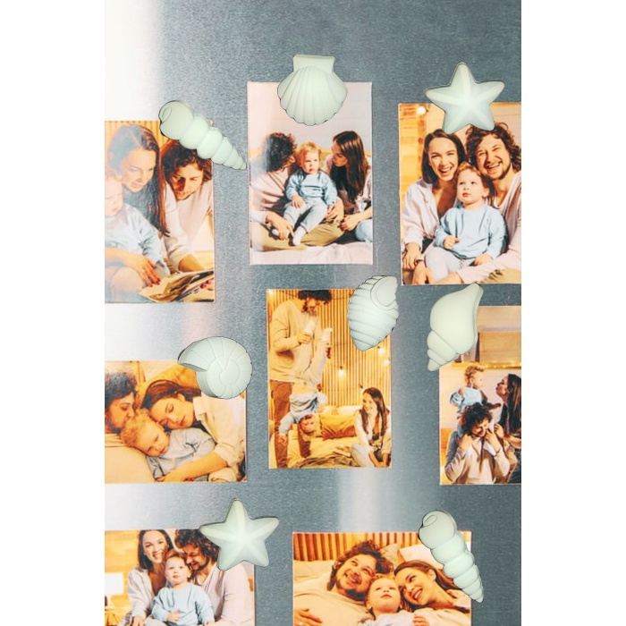 8Li Deniz Kabuğu Temalı Buzdolabı Magneti, Mıknatıslı Fotoğraf Tutucu Magnet